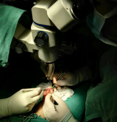 四川医院成功为1岁患儿实施手指再植手术